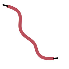 Shoelace Illustration