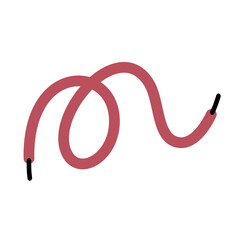 Shoelace Illustration