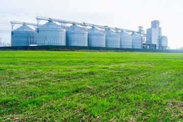 Silver grain silos on a green field. Modern grain storage facility with multiple silos near a agricultural field