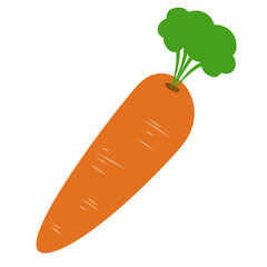 Carrot Vegetable Illustration
