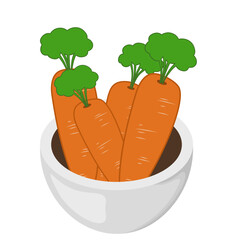 Illustration of Carrots in a Bowl