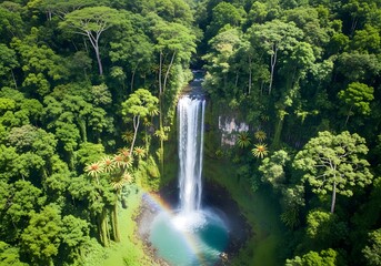 Aerial view of a cascading waterfall surrounded by dense green forest foliage