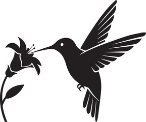 Obraz premium Silhouette of a hummingbird feeding on a flower fluttering wings captured in motion