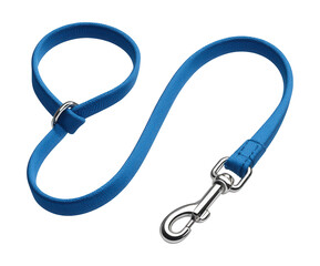 A slip leash for effortless control during home training sessions.