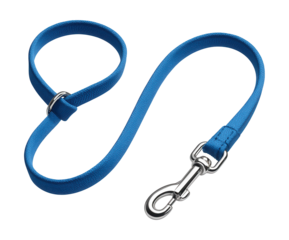 A slip leash for effortless control during home training sessions.