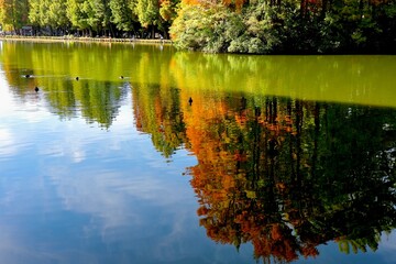 水面に映る青空と紅葉　埼玉県別所沼公園
