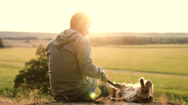 Man strokes tummy of rolling over cocker spaniel dog sitting on country field at sunset twilight man tames cute purebred dog resting in summer park man plays with fluffy spaniel dog in evening field