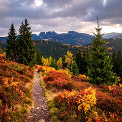 Autumn mountain trail