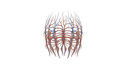 Abstract illustration of a network of branching veins in red and blue on a white background ai generated