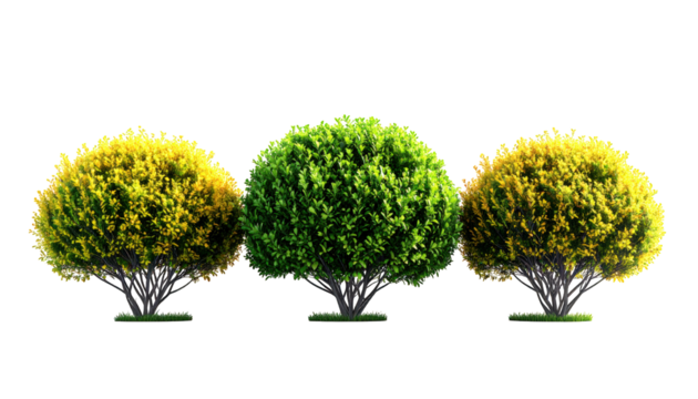 Three stylized trees, one vibrant green, two golden yellow, isolated on white background