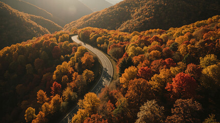 Golden Autumn Road – Warm Sunset Forest Background