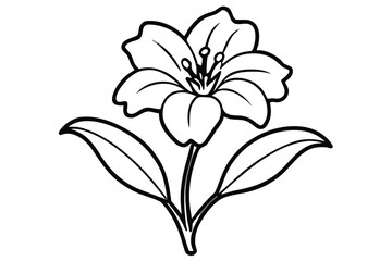 Black and white line drawing of a lily flower with leaves