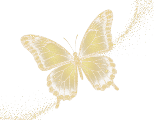 Transparent Golden Butterfly PNG for Design Overlay