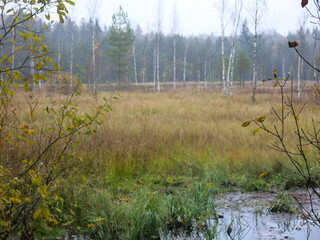quiet lake Belskoye in the Moscow region in autumn