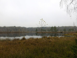 quiet lake Belskoye in the Moscow region in autumn