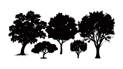 Silhouette of trees: A captivating silhouette of assorted trees against the background, demonstrating natural beauty and diversity of woodland plants.