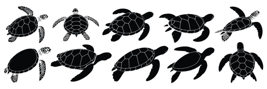 Diverse black silhouette illustrations of sea turtles in various poses vector graphics eps vector