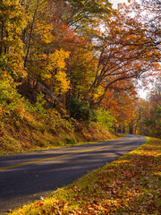 Meandering road surrounded by beautiful autumn foliage along the Blue Ridge Parkway in the US State of Virginia