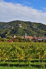 Dürnstein un die Weingüter im Herbst, vertikal