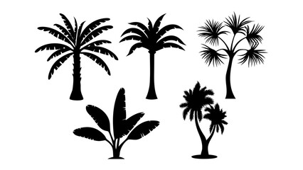 Fototapeta premium Tropical Foliage Silhouettes: A collection of lush tropical foliage and palm tree silhouettes in a display of botanical shapes, showcasing the intricate details of their elegant forms.