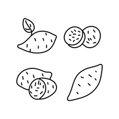 Sweet Potato Vector Set 4 Premium Outline – Minimal Vegetable Line Art, Root Food Illustration, and Healthy Organic Design
