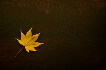 暗い木のテーブルに置かれた一枚の紅葉の葉