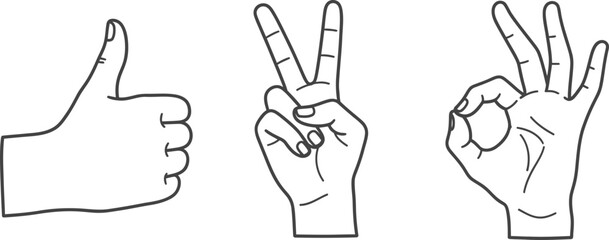 Abstract banner design set with dynamic, flowing lines and artistic scribble marks on a transparent background vector illustration