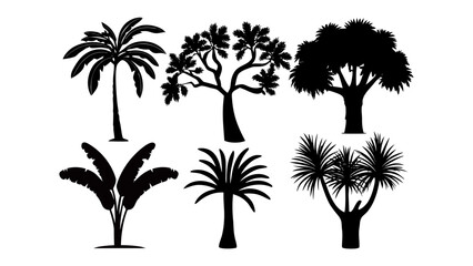 Tropical Tree Silhouette Collection: A diverse collection of tropical tree silhouettes, each showcasing unique forms and shapes, perfect for design and illustrating the beauty of nature.