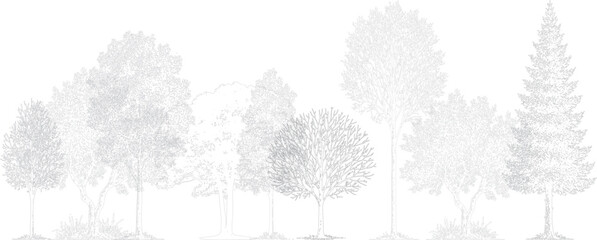 Architectural tree elevation drawing featuring diverse realistic trees. Minimal black and white line art showing natural variety, perfect for poster, banner, web, or digital artwork design use.  
