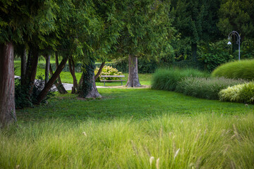 vibrant landscape with lush green garden with bushes, trees and foot path. natural green background. fresh green botanical wallpaper. aesthetic