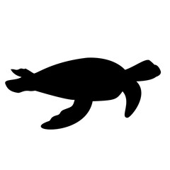 Turtle Silhouette 
