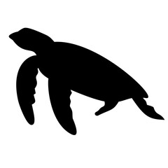 Turtle Silhouette 