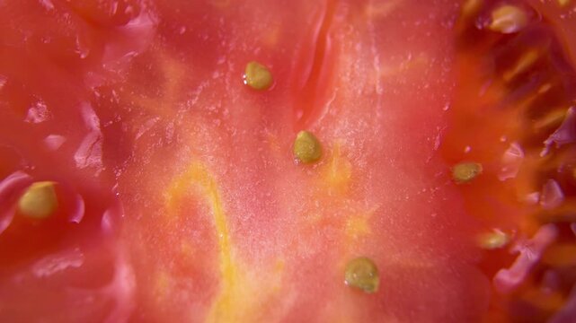 Macro structure of tomato locules (Solanum lycopersicum): Detailed cut of a tomato fruit