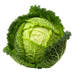 A whole, crinkled green leafy vegetable on a black background