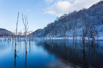静寂なひととき
