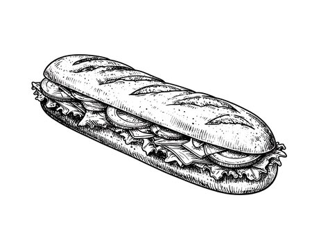 Delicious Hand Drawn Sub Sandwich Illustration.