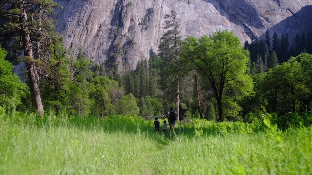 Family traversing a lush green meadow in yosemite valley, mother with two young boys carrying a backpack, exploring the park with massive granite formations and dense forest background