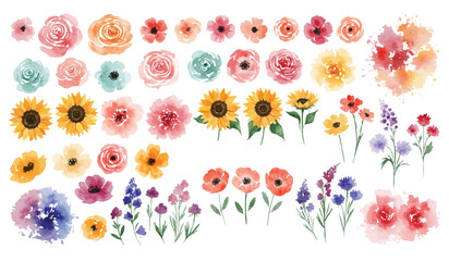 A vibrant collection of hand-painted watercolor flowers, featuring an assortment of colorful blossoms, delicate petals, and artistic botanical elements perfect for spring designs and natural themes.