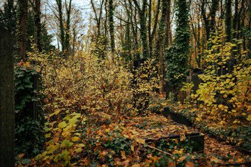 Jewish Cemetery in Weissensee, Berlin
