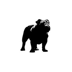 Obraz premium Minimalist English Bulldog Silhouette - Solid Black Graphic on White Background
