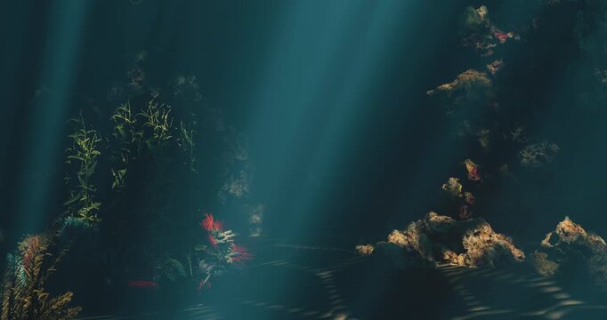 Underwater environment with swimming shark. 3d animation of shark swimming toward camera underwater. Shark approaching through coral reef. Cinematic ocean depth with shark
