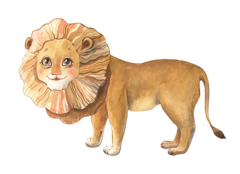 Watercolor hand drawn illustration of a Cute lion with a happy face.  For nursery decor and childrens books. 