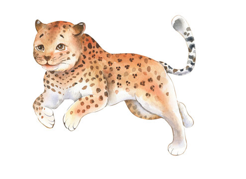 Watercolor hand drawn illustration of a Cute Cheetah.  For nursery decor and childrens books. 