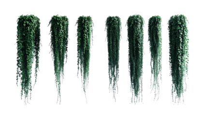 Lush green hanging plants cascade elegantly, creating a natural, verdant display.