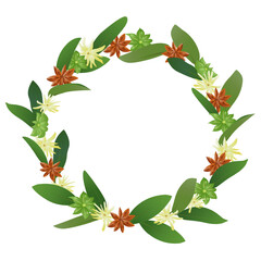 Wreath Anise Branch with Seed Pods, Flowers