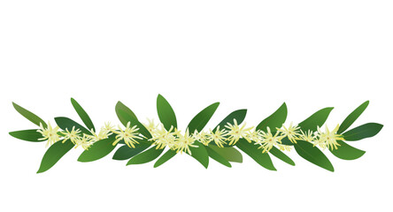 Anise Flowers with green leaves garland
