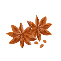 Star Anise with Seed Pods
