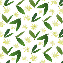 Seamless pattern Anise Flowers with green leaves