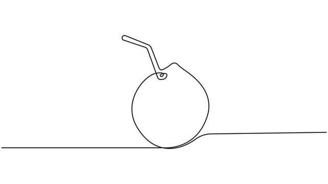Continuous one line drawing of a coconut drink with straw, single line vector art 4k animation video.