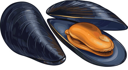 Cartoon mussel shell and anatomy with open and closed views, vector illustration for seafood, marine biology, and culinary concept © Sagar Creative